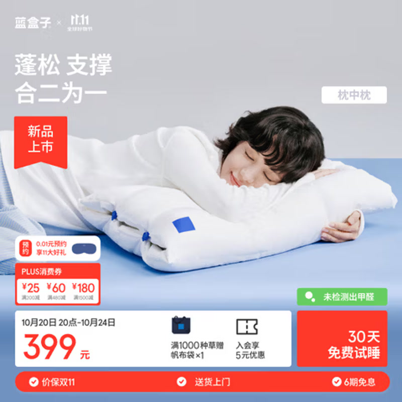 蓝盒子枕中枕N3记忆棉枕头成人深睡枕护颈枕新品抗菌防螨慢回弹10/12cm